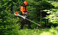 Débroussailleuses pour travaux paysagers et forestiers